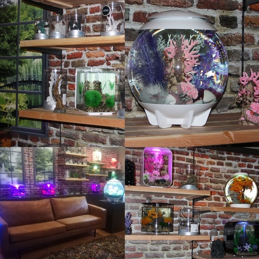 biOrb Air 30 Zwart | Plantenterrarium