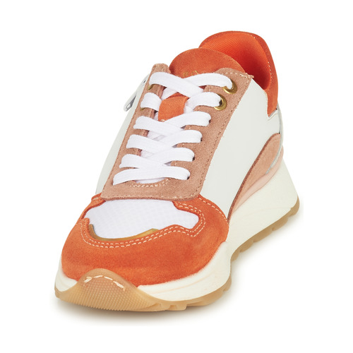 Bullboxer -  - Orange / Blanc / Marron