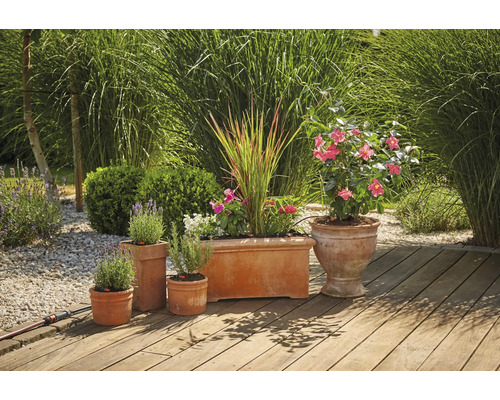 GARDENA Micro-Drip Startset bewateringsset voor bloempotten maat M (voor 7 bloempotten of 3 plantenbakken)