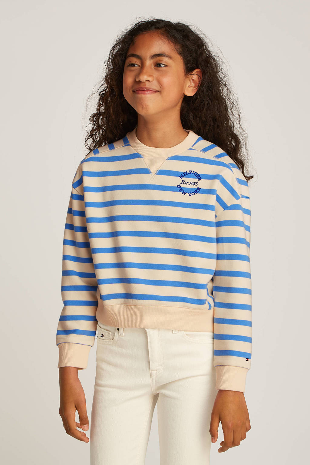 Tommy Hilfiger sweater blauw