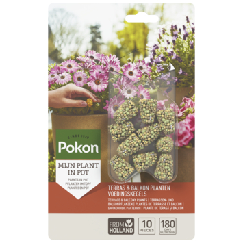 Pokon terras & balkon planten voedingskegels 10 stuks