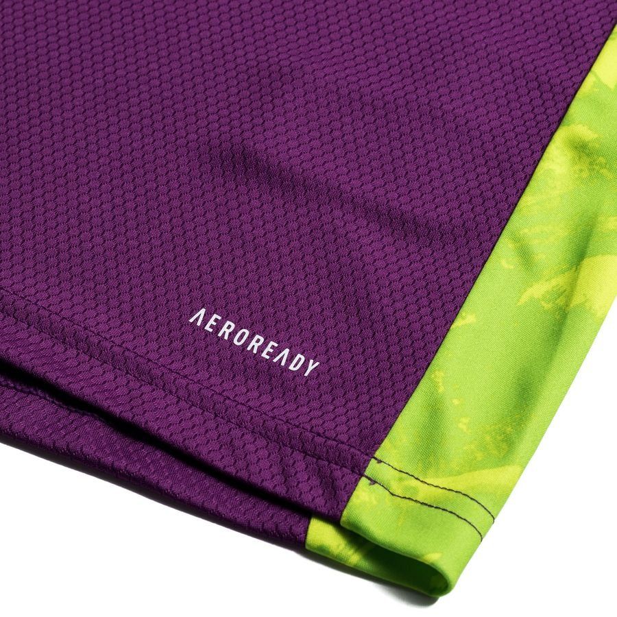 adidas Maillot de Gardien Adipro 20 - Violet/Vert Enfant