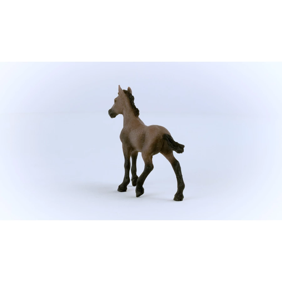 schleich® Paso Peruano Fohlen 13954