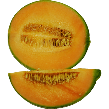 Jumbo Cantaloupe Meloen 1 Stuks