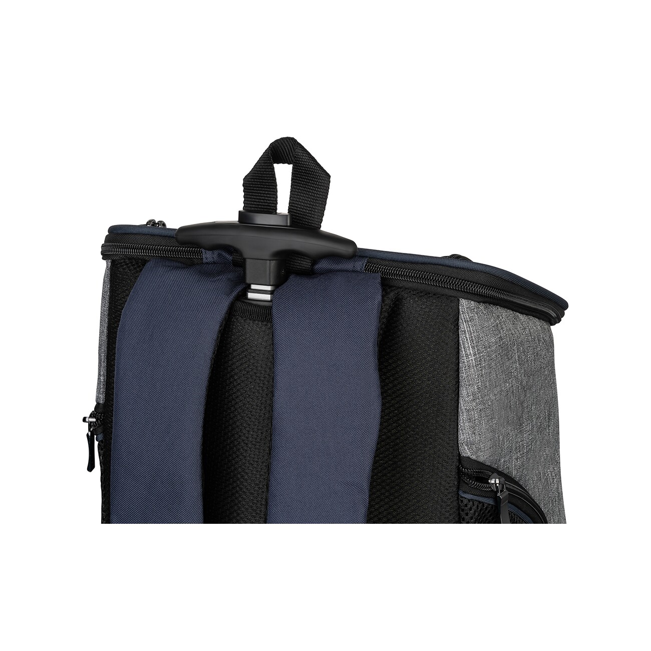 Knuffelwuff Hunderucksack Tajumulco Trolley faltbar 2 in 1 mit Rollen und Griff