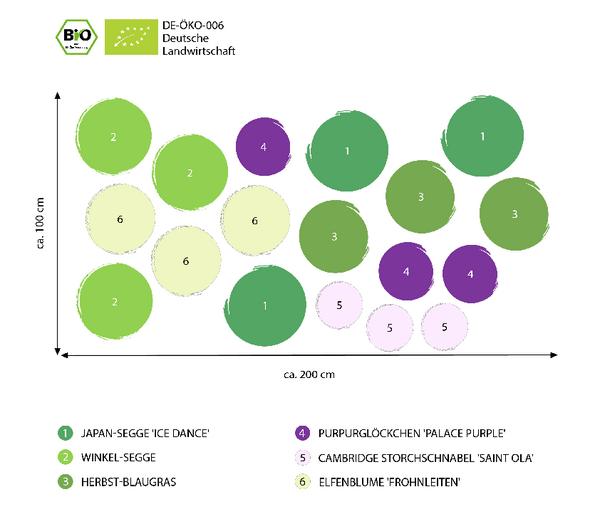 Bio Stauden-Set Wintergrün, 18-teilig