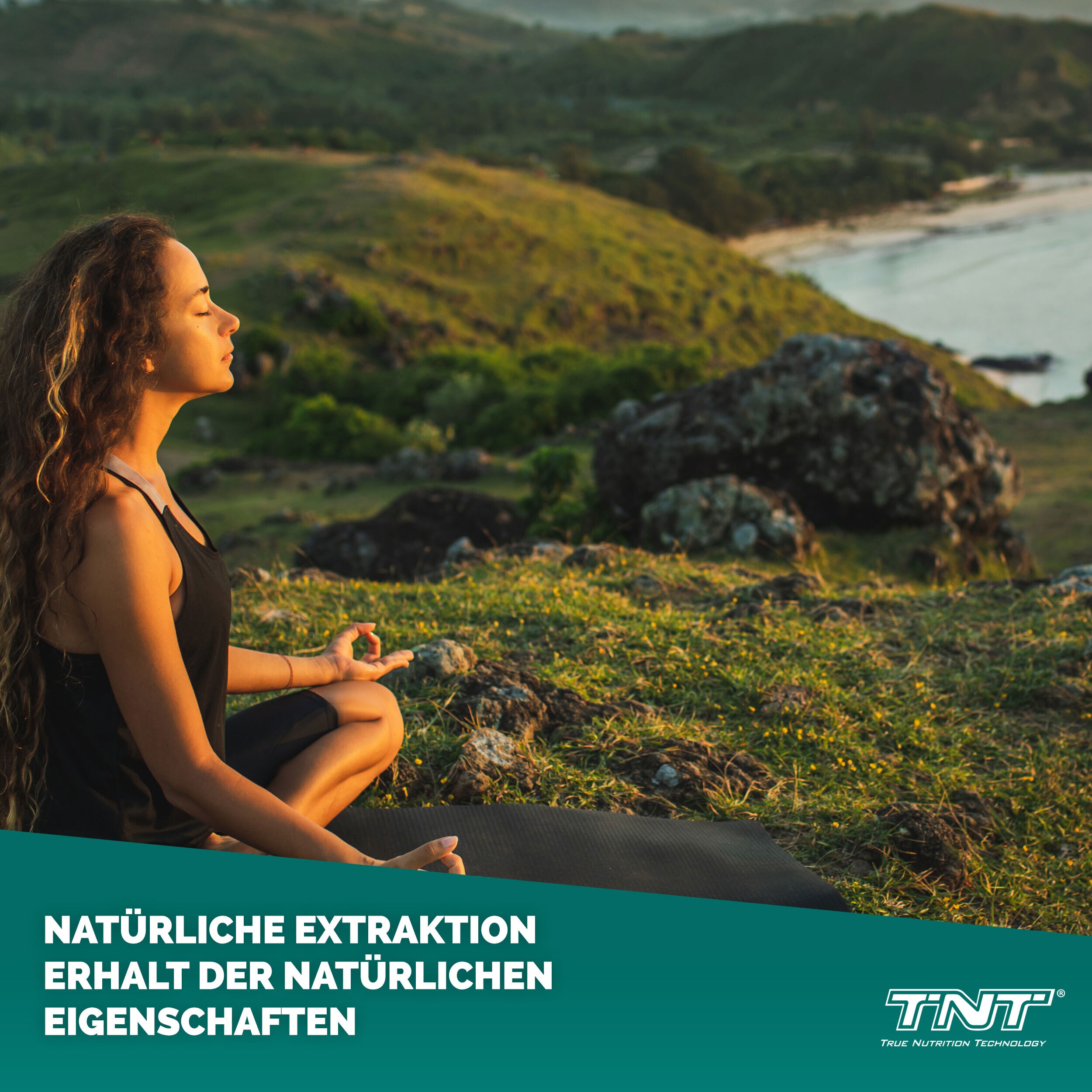 TNT Ashwagandha KSM-66® - hochdosiert: 600mg pro Kapsel