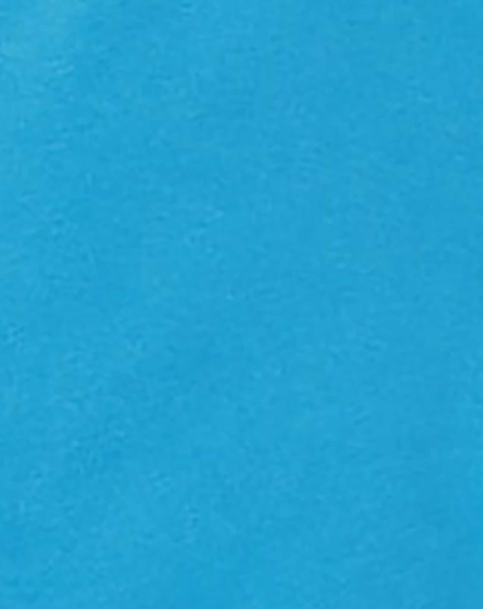 Sweat-Shorts NMMDIKE SHARKY in swedish blue
