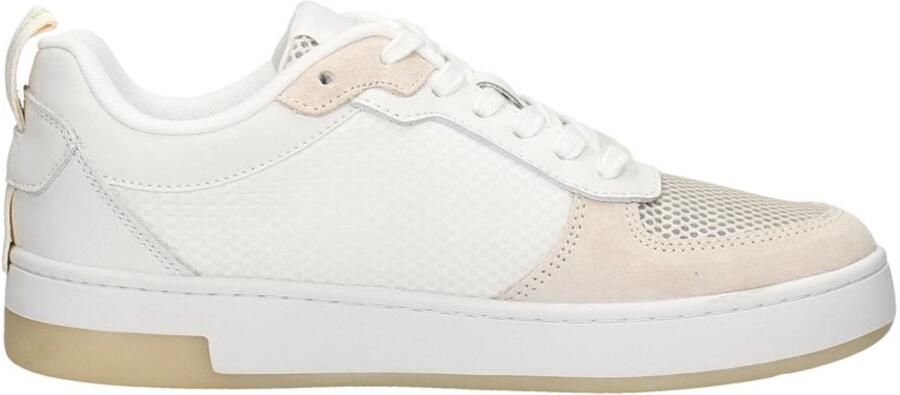 Calvin Klein Witte Lage Sneakers Basket Cupsole Low Xray