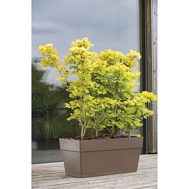 Bac à fleurs muret sav R camel avec réserve d'eau 79cm Deroma
