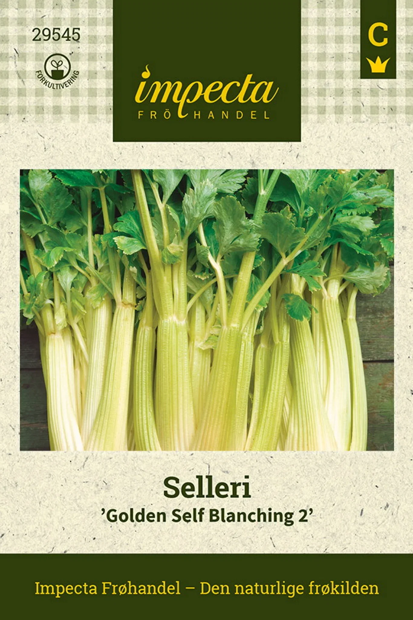 Apium graveolens 'Golden Self Blanching 2' Selleri 'Golden Self Blanching 2'