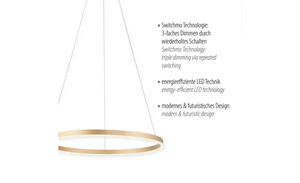 Paul Neuhaus LED Pendelleuchte