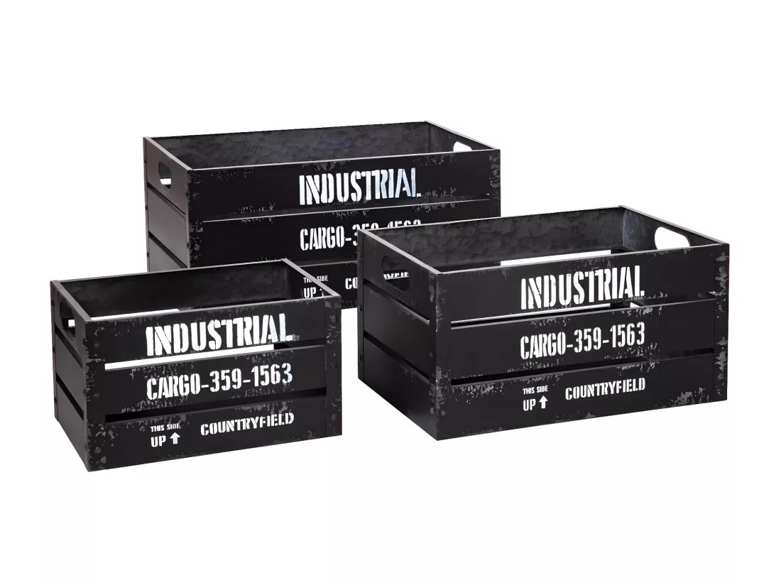 Lot de 3 Cagettes de Rangement 