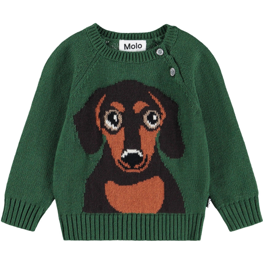 Køb Molo Dachs Puppy Bless Jumpers