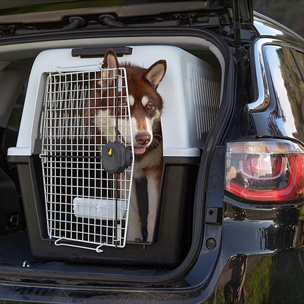 Panier de transport pour grands chiens atlas 60, écuelle et accessoires inclus, verrouillage de sécurité, grilles de ventilation