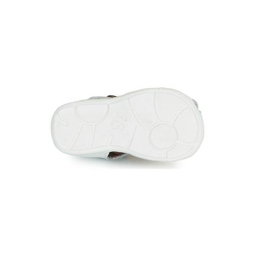 Citrouille et Compagnie - RINE - Blanc / Argent