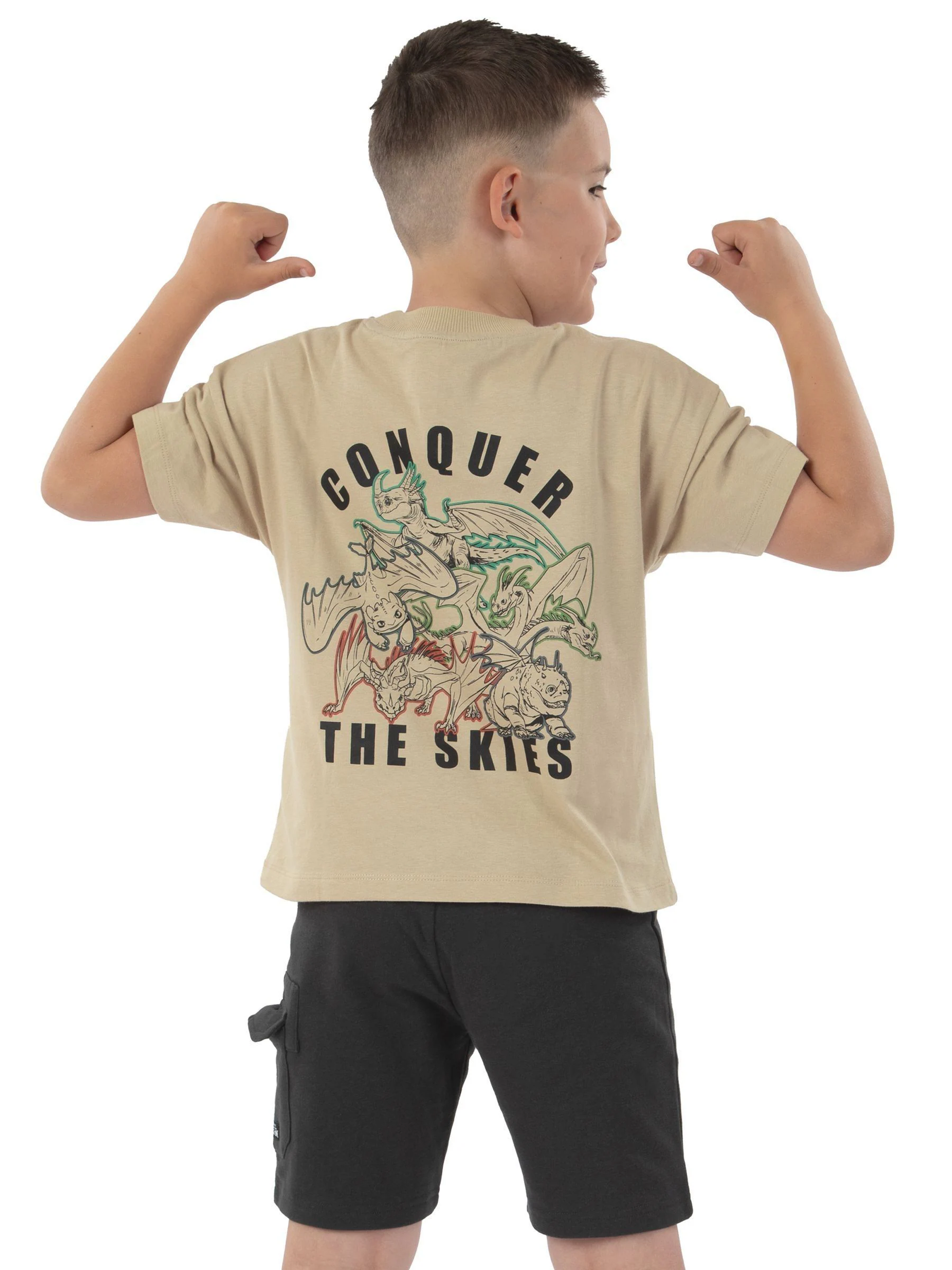 Character How To Train Your Dragon Print T-Shirt And Shorts Set