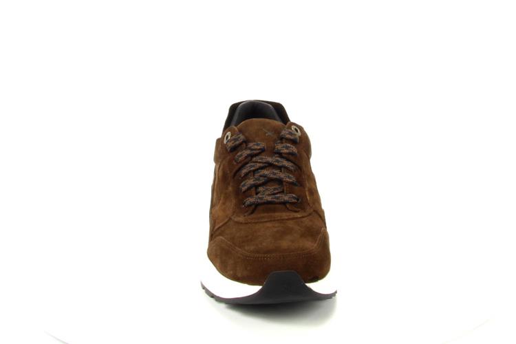 Xsensible 33200 Golden Gate 4.301 Brown