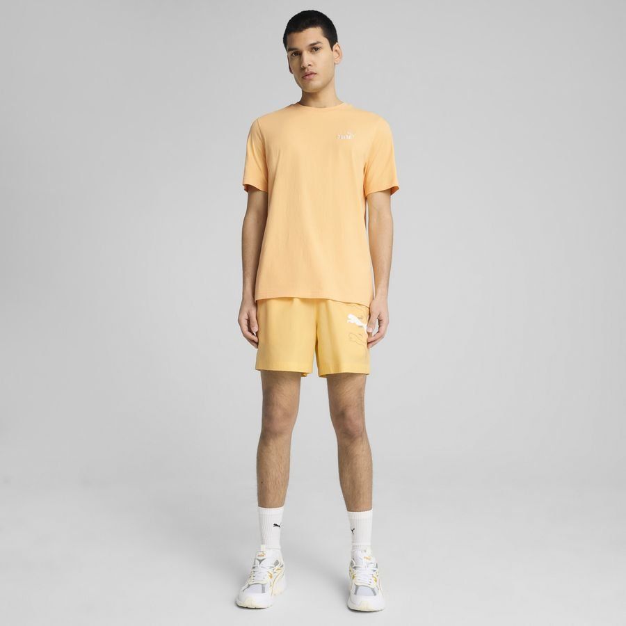 Puma Essentials Small No. 1 Logo T-Shirt