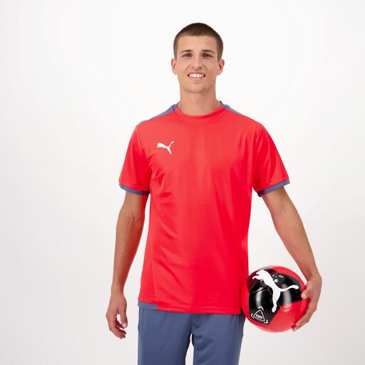 Liga de Equipes Puma