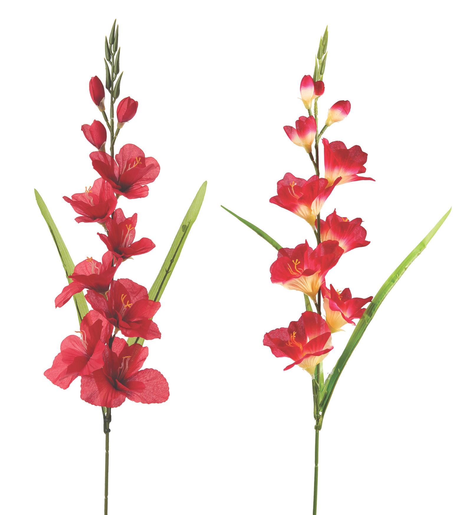 TIGE GLAIEUL 7 FLEURS ET 3 BOUTONS H.80CM ROUGE