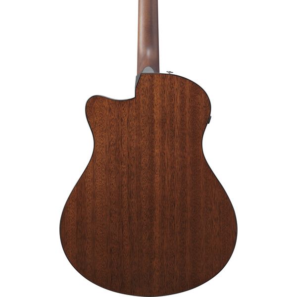 Ibanez AAM300CE-NT