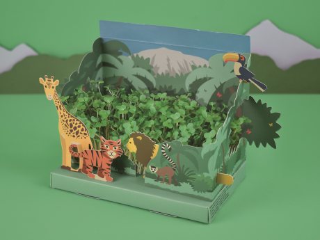 Jungle Garden