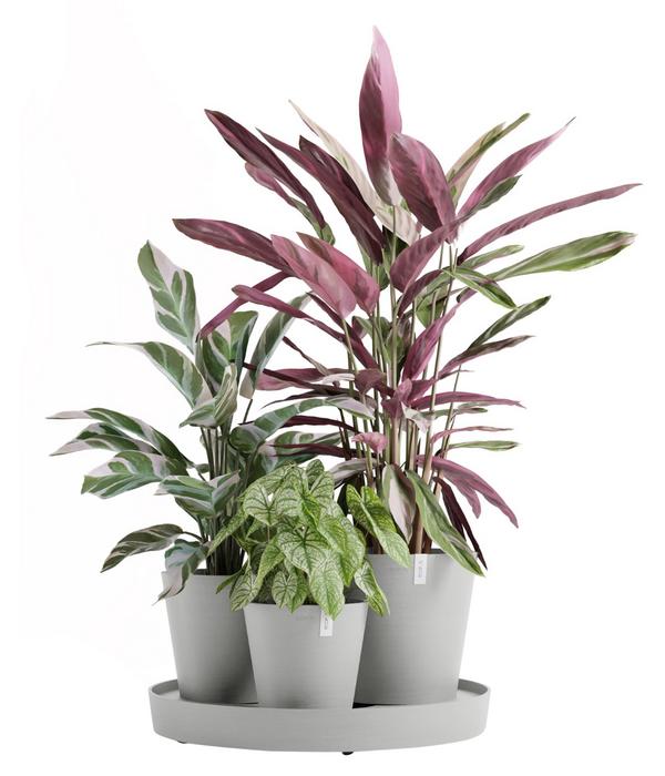 Ecopots Kunststoff-Topf-Set Dubai mit