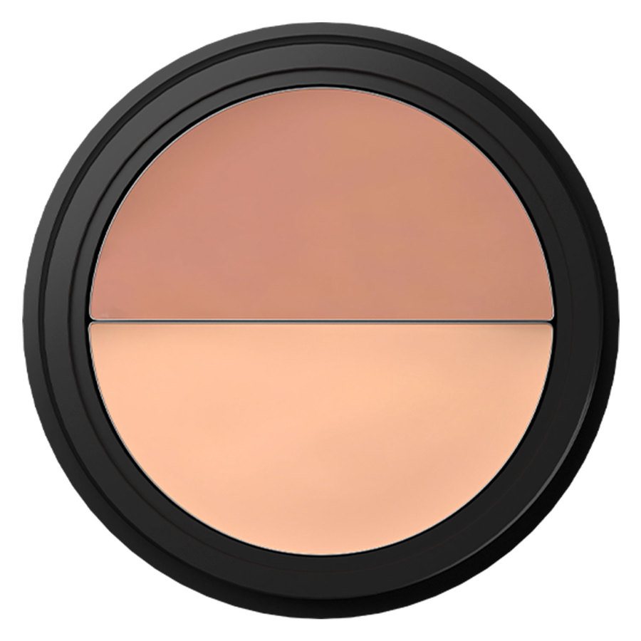 KENNY SKIN Perfectionist Concealer Fair 3g