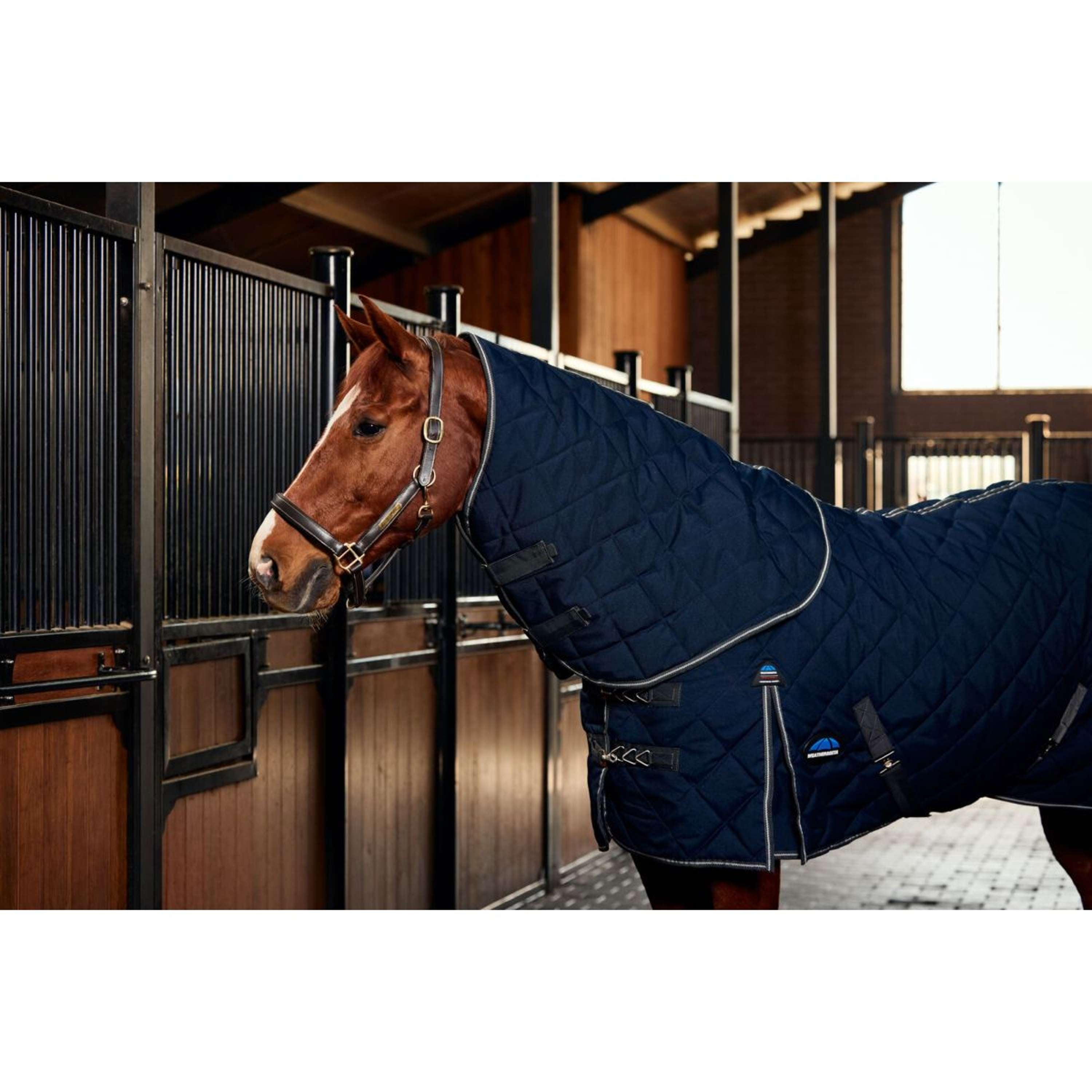 WeatherBeeta Staldeken ComFiTec 100D Diamond Quilt Detach-A-Neck 220g