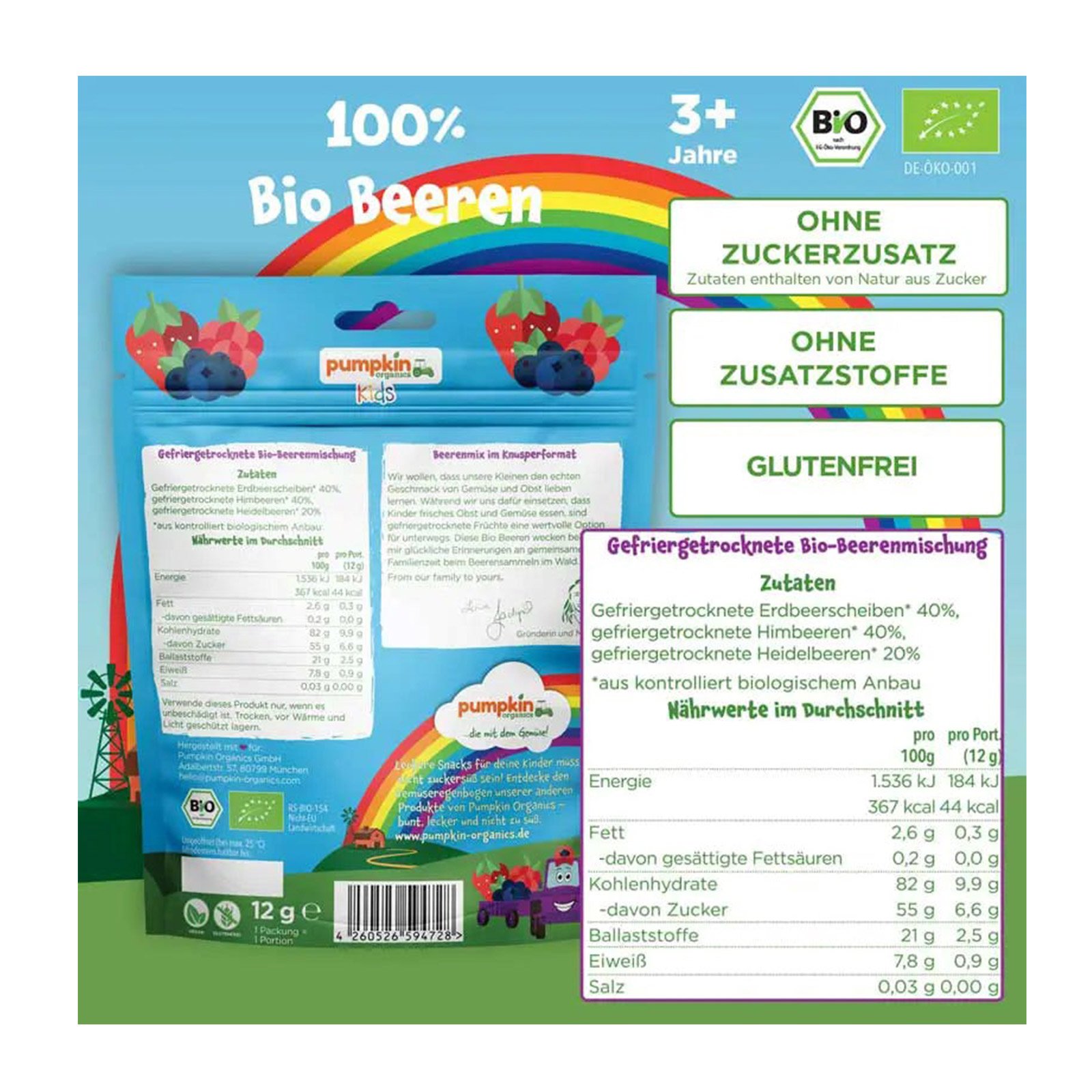 Pumpkin Organics Bio Beerenmix Fruchtchips