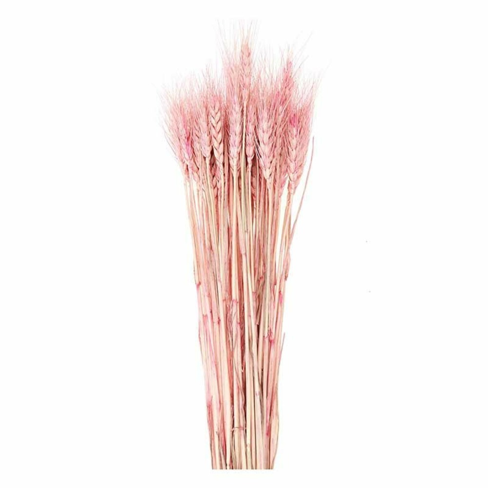 Gerbes de bés séchés rose - 70 cm