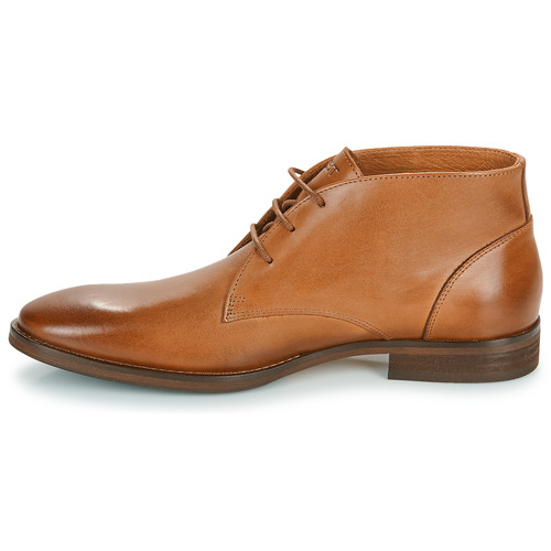 KOST - FELLOW - Cognac