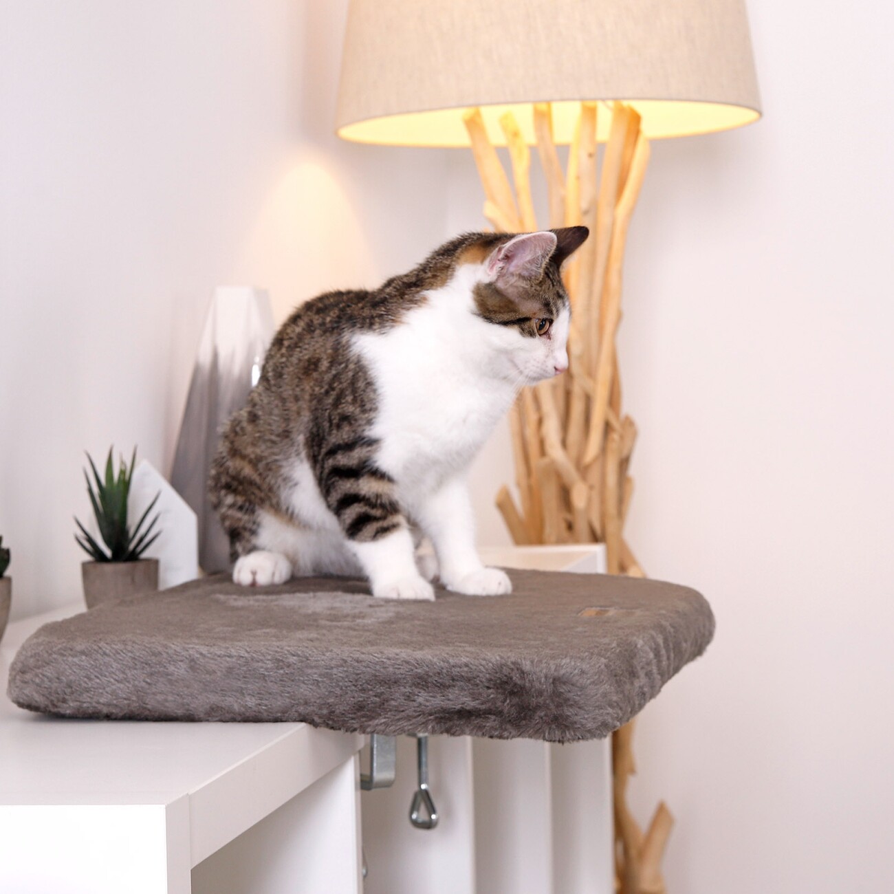 Lionto Katzenliege für Fensterbank dunkelgrau