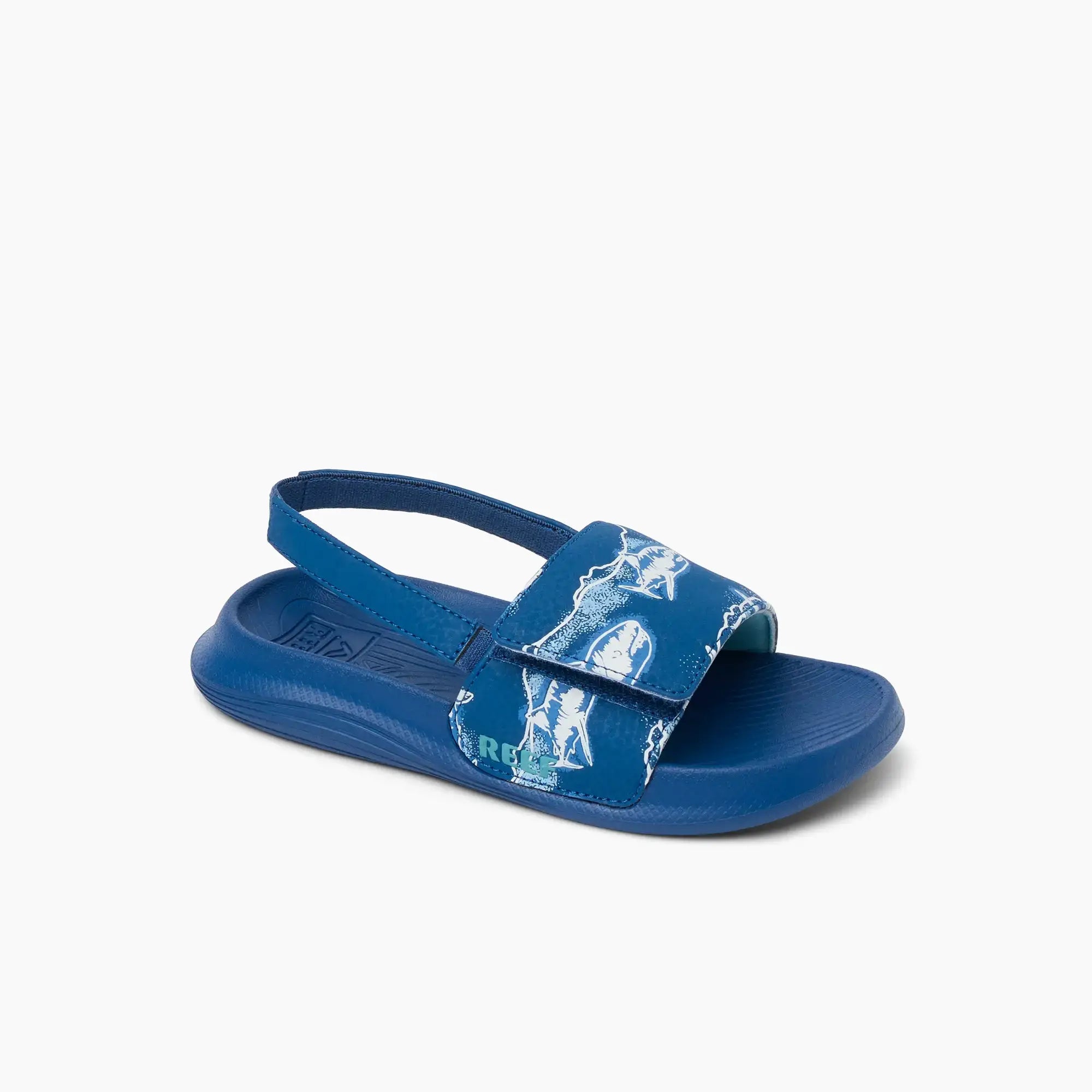 Little Salty Slide Royal Sharks