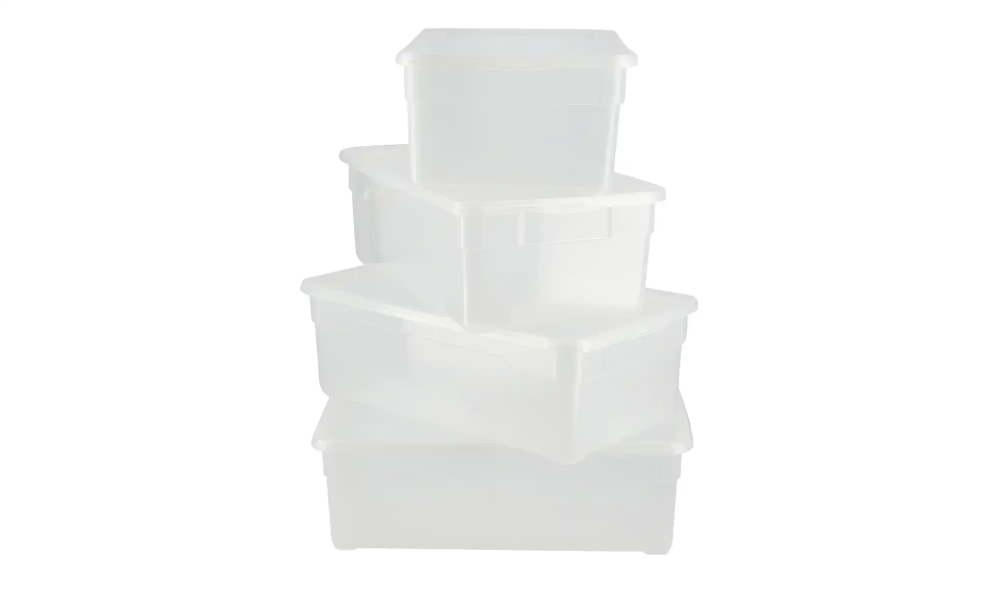 Rotho Aufbewahrungsbox, 4er Set