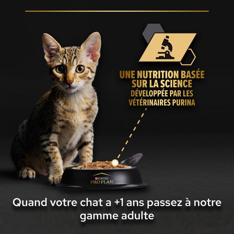PURINA PRO PLAN Kitten Healthy Start, poulet