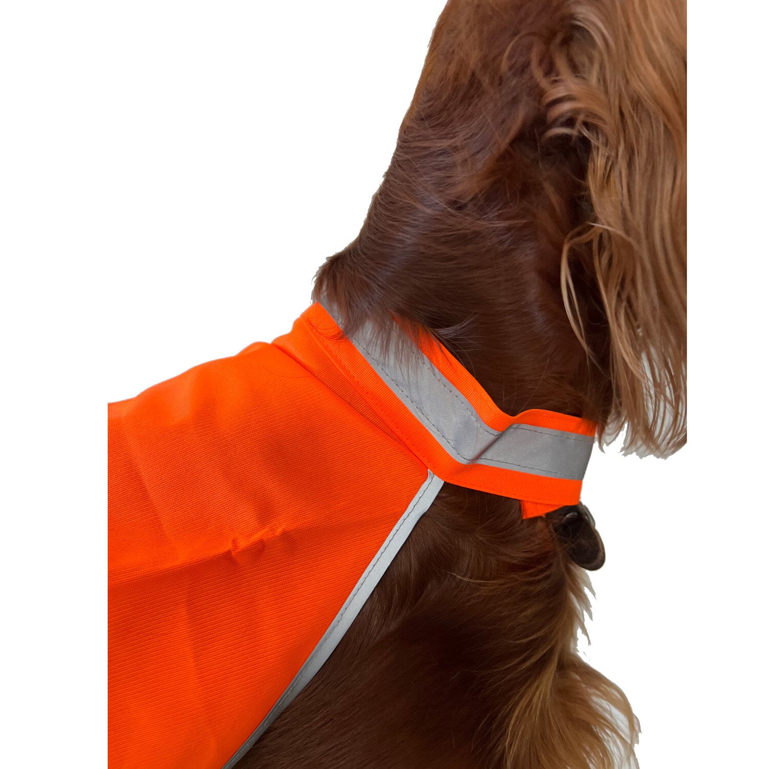 Dogwear Refleksvest<br>Gjør hunden din synlig i mørket!
