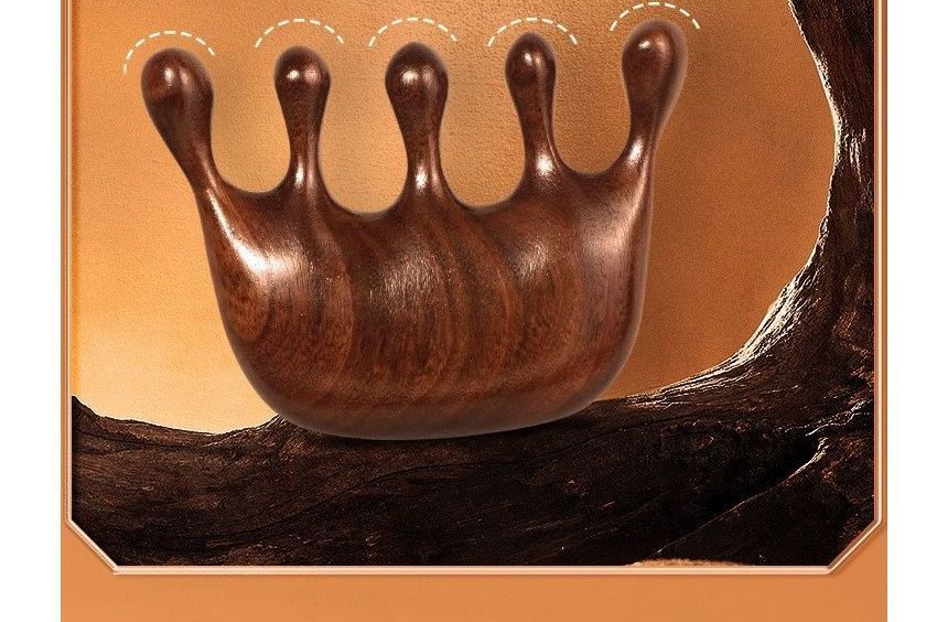 Choyu - Houten haarkam (verschillende ontwerpen)