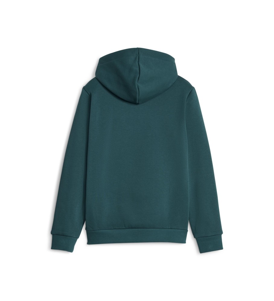 Moletom com capuz Puma Essentials+ Two-Tone Big Logo - Verde