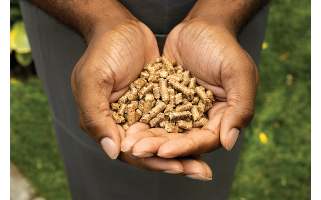 Ninja Woodfire Pellets
