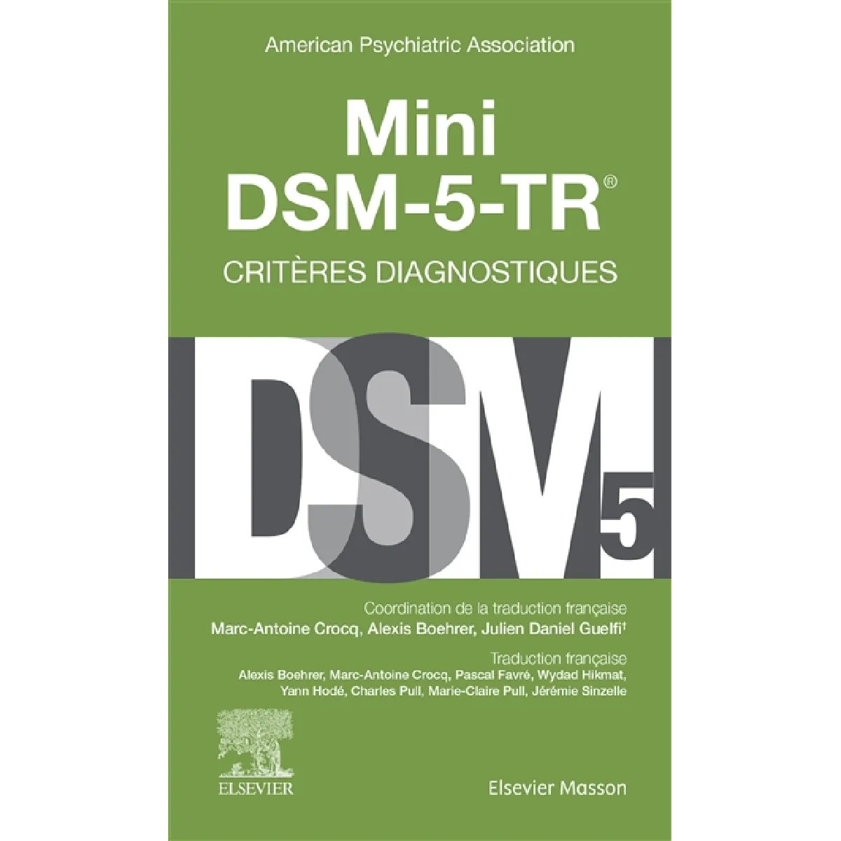 Mini DSM-5-TR, critères diagnostiques