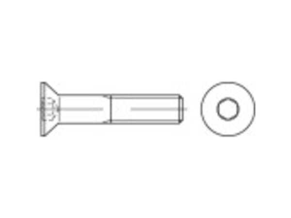 TOOLCRAFT 149014 Undersænkede skruer M5 6 mm Indvendig sekskant Stål Galvaniseret 500 stk