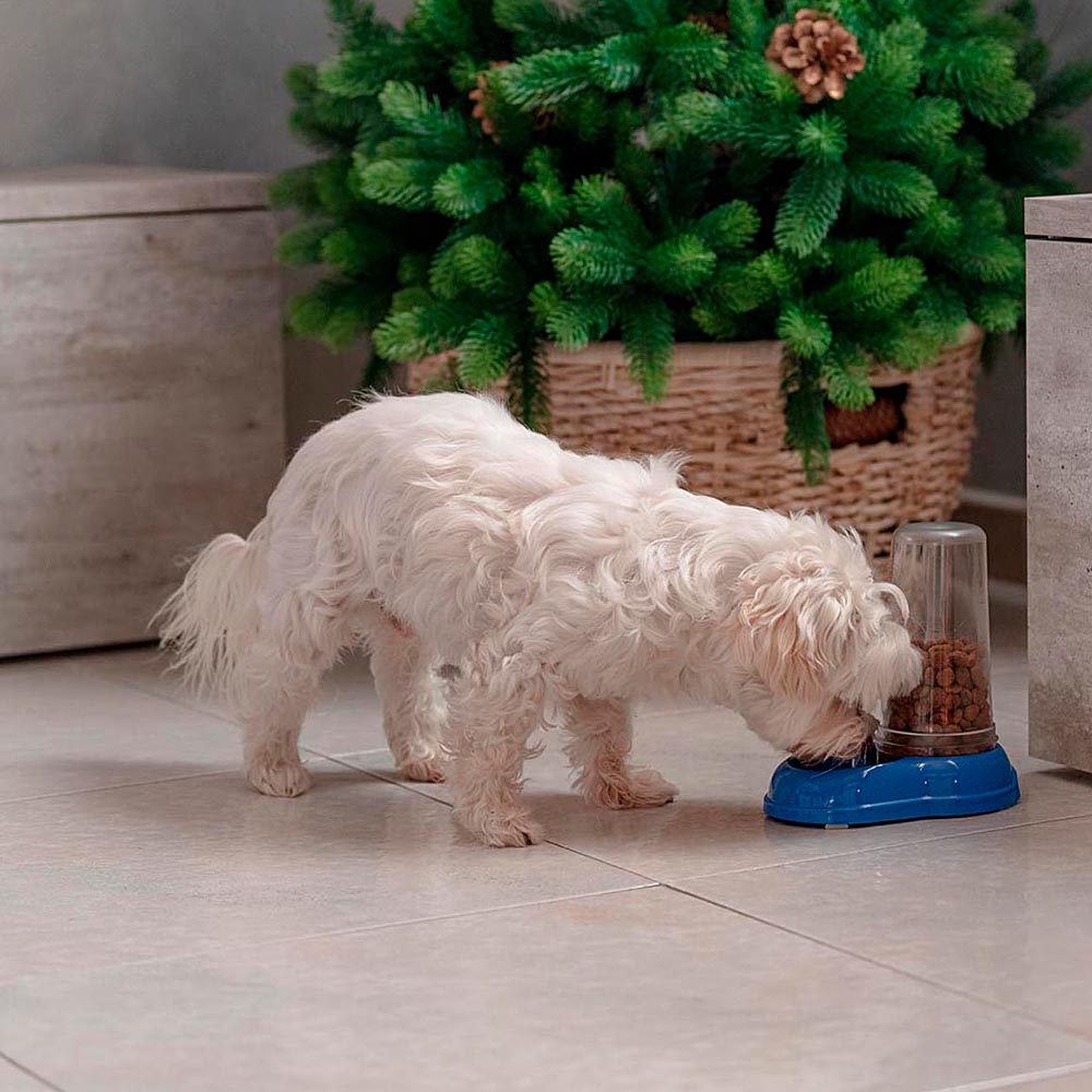 Ferplast distributeur d'eau ou nourriture pour chats et chiens azimut 600 dispenser pour animaux mangeoire pour croquettes