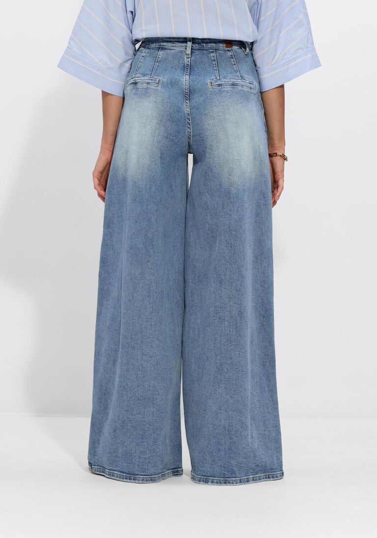 blauwe janice pantalon dollar