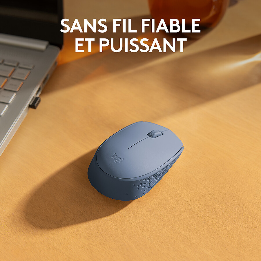 Logitech M171 - Bleu gris
