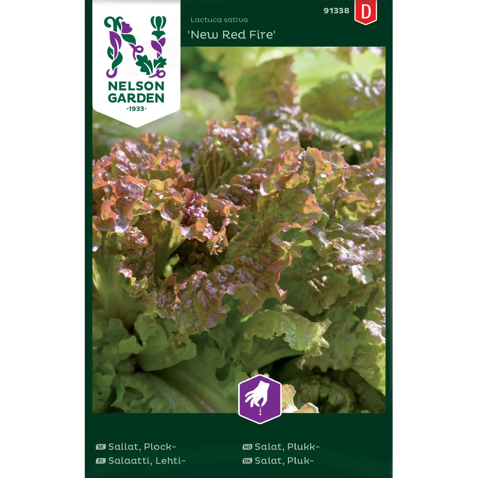 Lactuca sativa 'New Red Fire' Bladsalat 'New Red Fire'