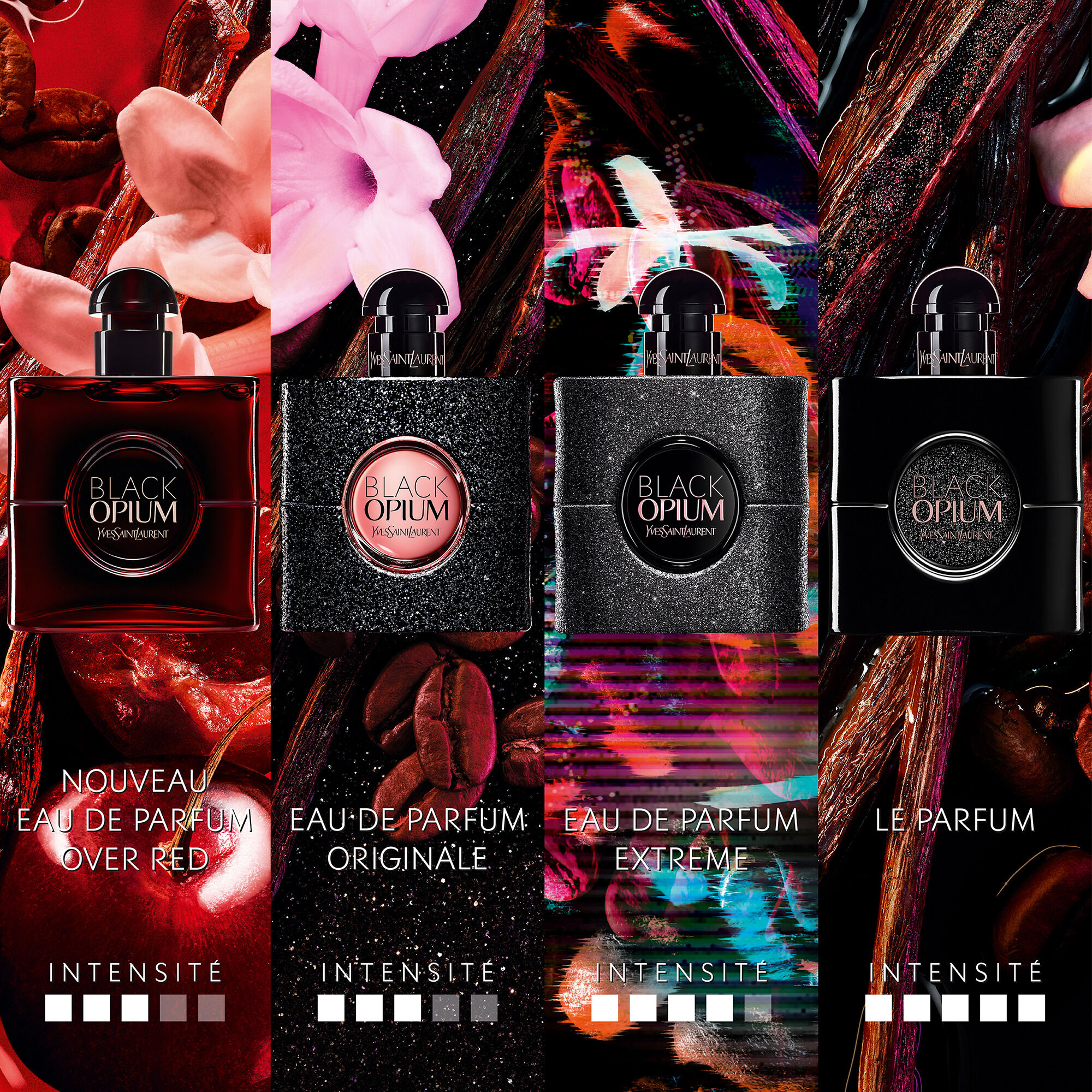 BLACK OPIUM EXTRÊME  ACCORD CAFÉ NOIR - ESSENCE DE PATCHOULI