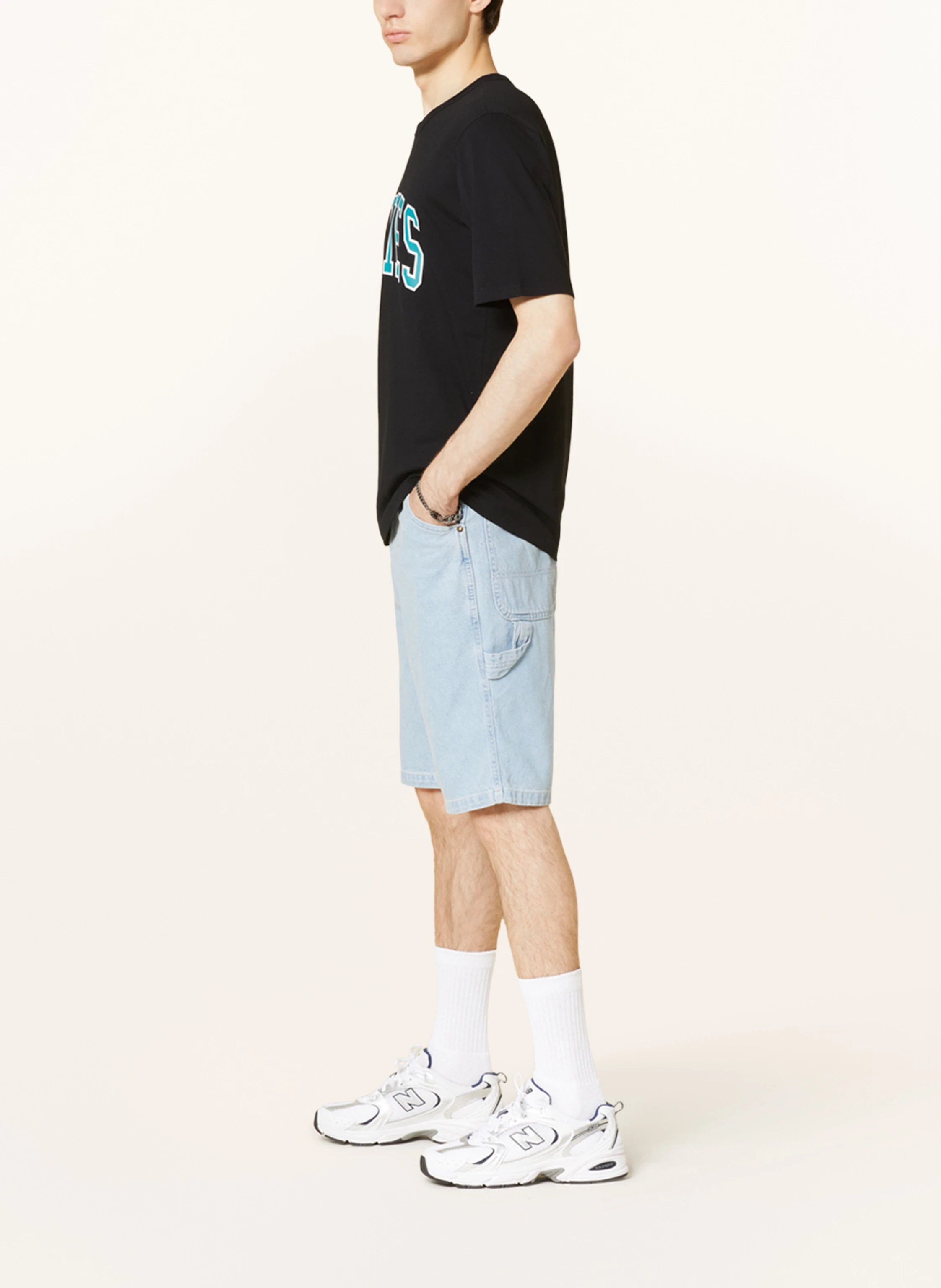 Dickies Jeansshorts GARYVILLE