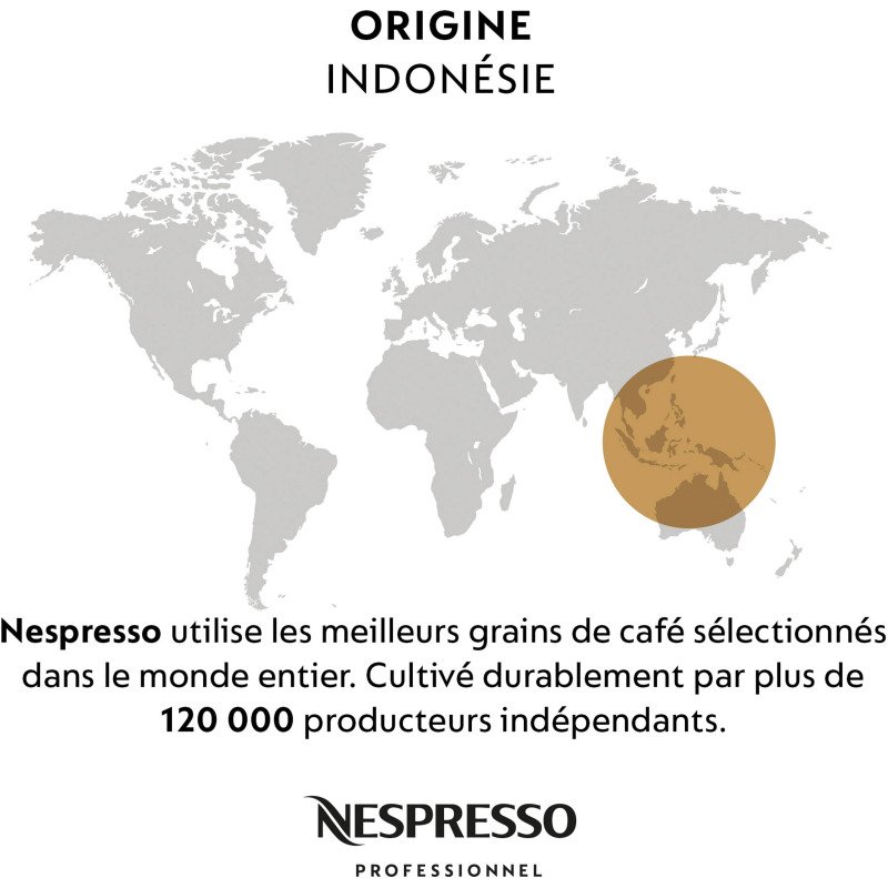 Capsule de café Nespresso Professionnel Indonesia FairTrade  - Boîte de 50